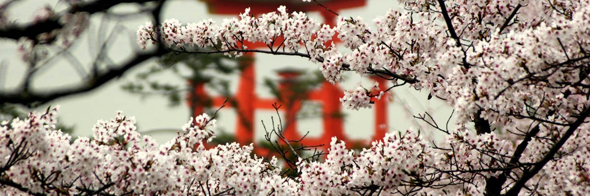 iki-travels-japan-banner.jpg